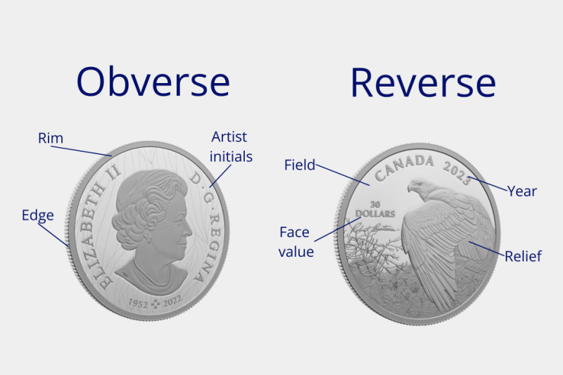 Anatomy of a Coin - Sprott Money Collectibles