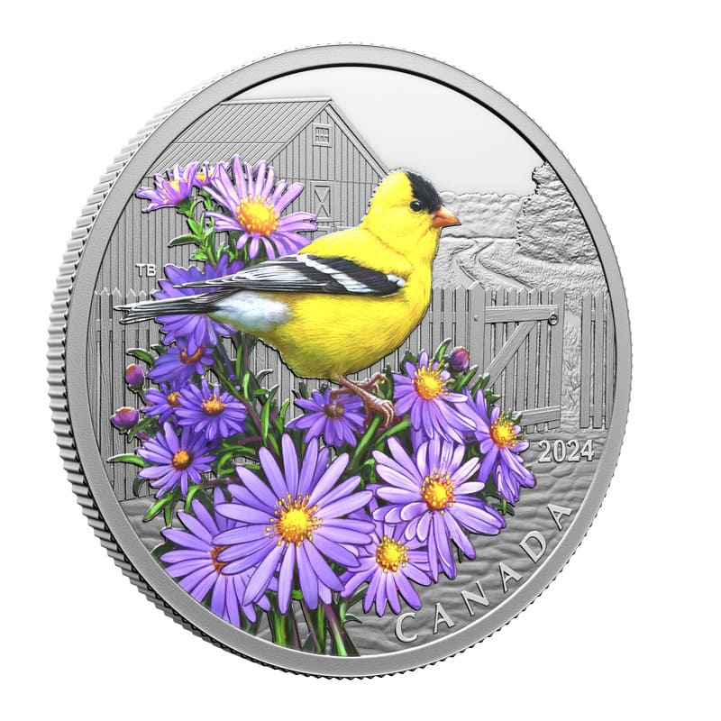2024 Colourful Birds: American Goldfinch 1 oz Fine Silver Coin