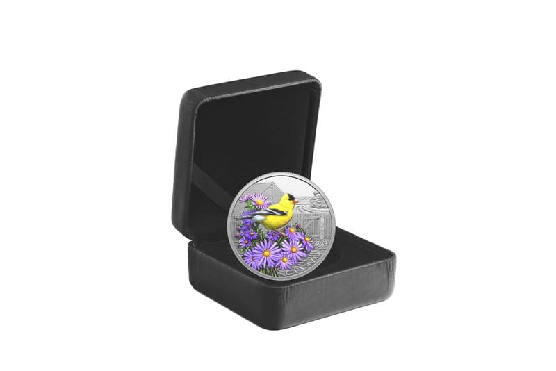 2024 Colourful Birds: American Goldfinch 1 oz Fine Silver Coin