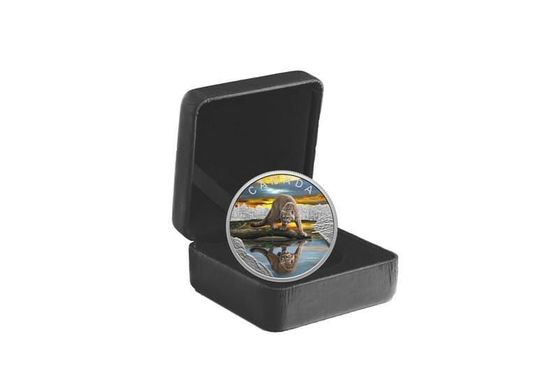 2024 Wildlife Reflections - Cougar 1 oz Fine Silver Coin-Royal Canadian Mint