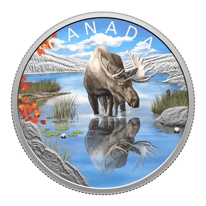 2024 1 oz Wildlife Reflections: Moose Fine Silver Coin-Royal Canadian Mint