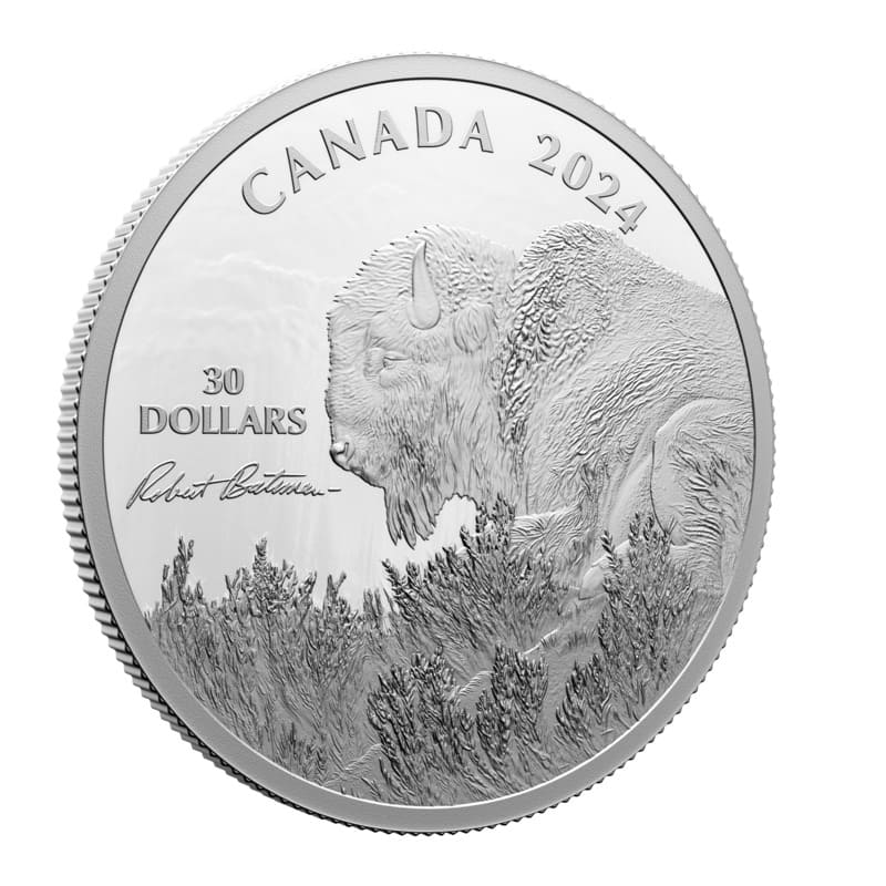2024 Weather Watch - Bison by Robert Bateman 2 oz Silver Coin