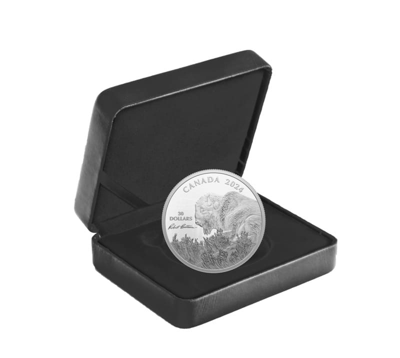 2024 Weather Watch - Bison by Robert Bateman 2 oz Silver Coin