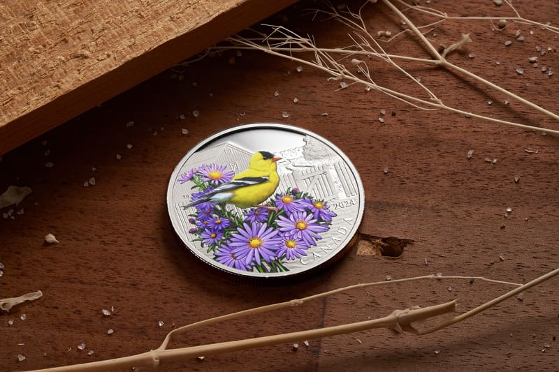 2024 Colourful Birds: American Goldfinch 1 oz Fine Silver Coin