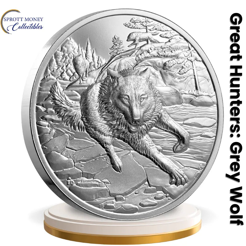 silver coin
buy silver
silver bullion
buy gold and silver
silver coins for sale
best place to buy silver
buy silver coins
buy silver online
silver rounds
jm bullion silver