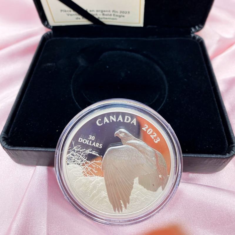 2023 Vantage Point - Bald Eagle 2 oz Silver Coin-Royal Canadian Mint Sprott Money