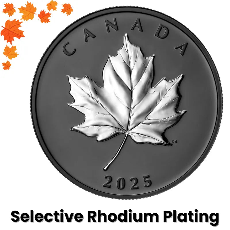 toronto maple leafs coin  toronto maple leafs,toronto maple leafs merchandise silver coins 1