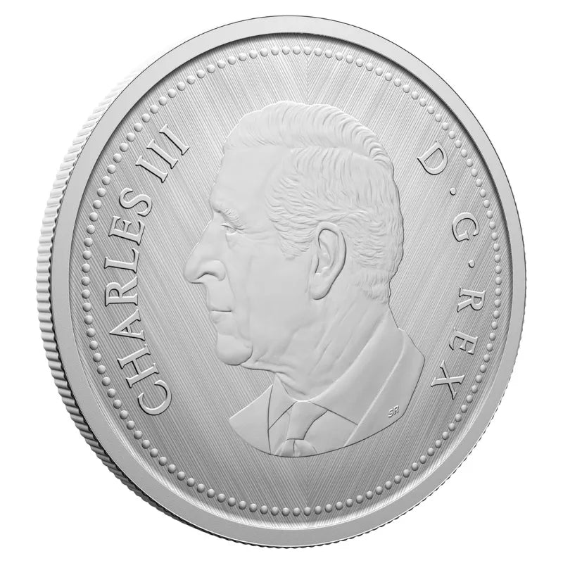 2025 Tribute: W Mint Mark Bluenose 1 oz Pure Silver Coin - Royal Canadian Mint Canadian Coin made in Canada