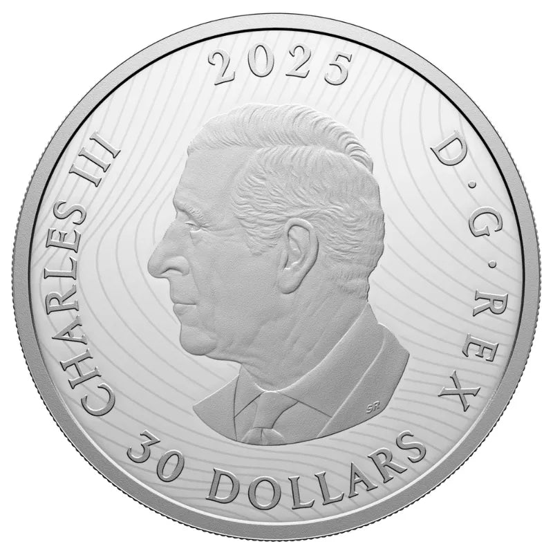 Canadian Coin Silver 1oz Coin Royal Canadian Mint RCM Made in Canada King Charles III Gold Coin