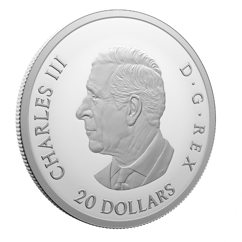 2024 1 oz Fine Silver Coin Remembrance Day-Royal Canadian Mint