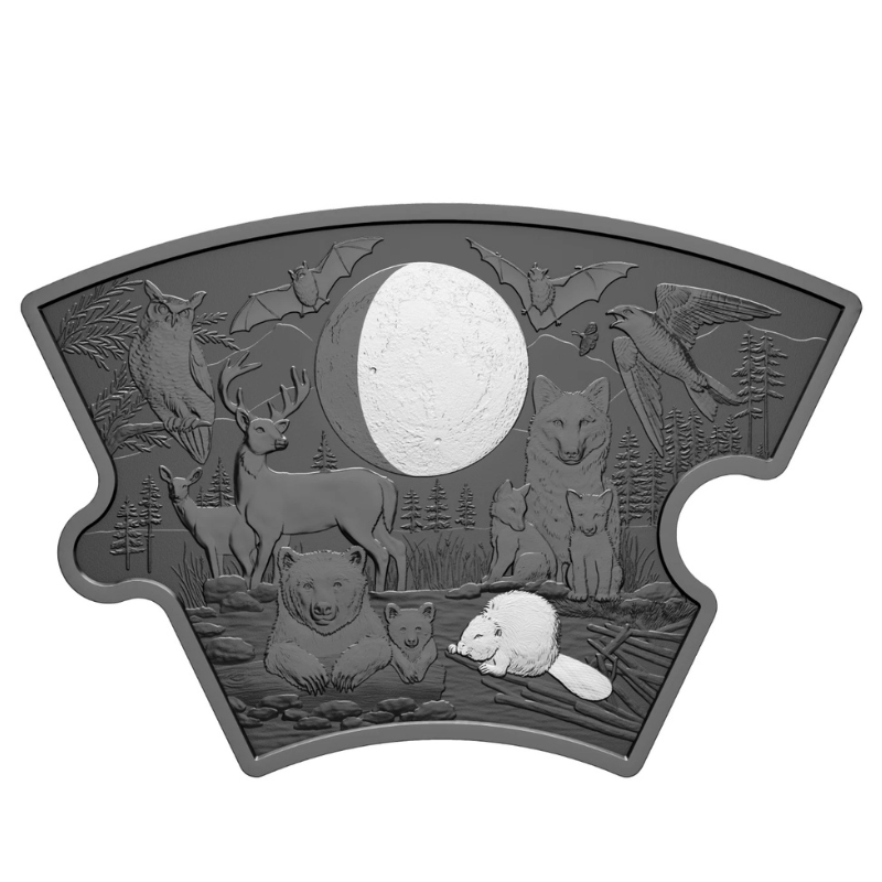 2025 Fine 297 g Silver Puzzle Coin Set Moon Phases Royal Canadian Mint
