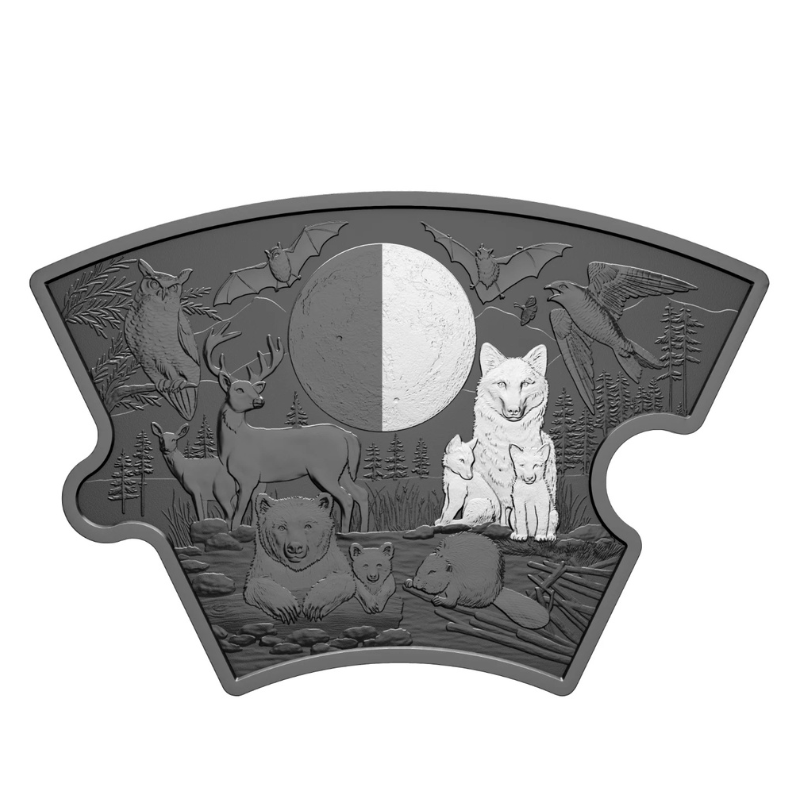 2025 Fine 297 g Silver Puzzle Coin Set Moon Phases Royal Canadian Mint