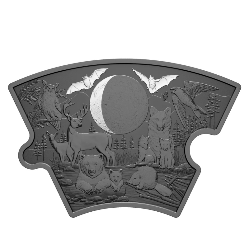 2025 Fine 297 g Silver Puzzle Coin Set Moon Phases Royal Canadian Mint
