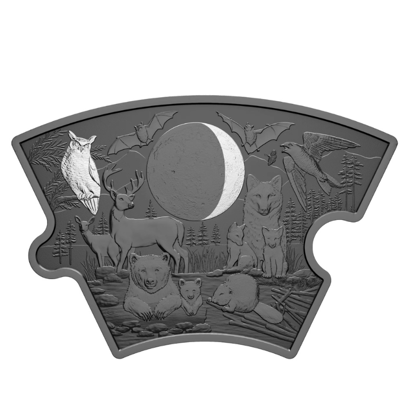 2025 Fine 297 g Silver Puzzle Coin Set Moon Phases Royal Canadian Mint