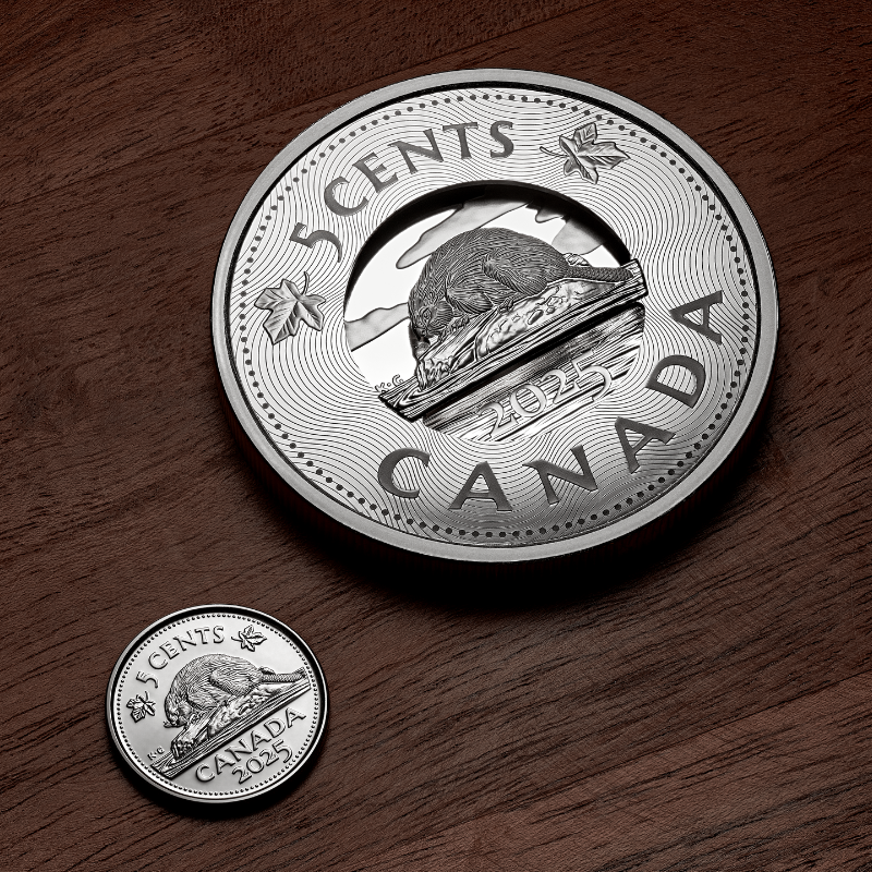 2025 Multilayered Beaver 3.5oz Fine Silver Coin - Royal Canadian Mint