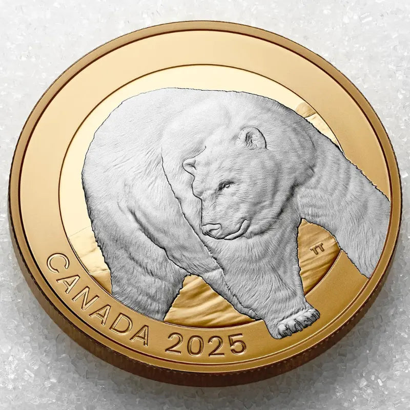 2025 Animal Portraits: Polar Bear 1oz $20 Fine Silver Coin- Royal Canadian Mint