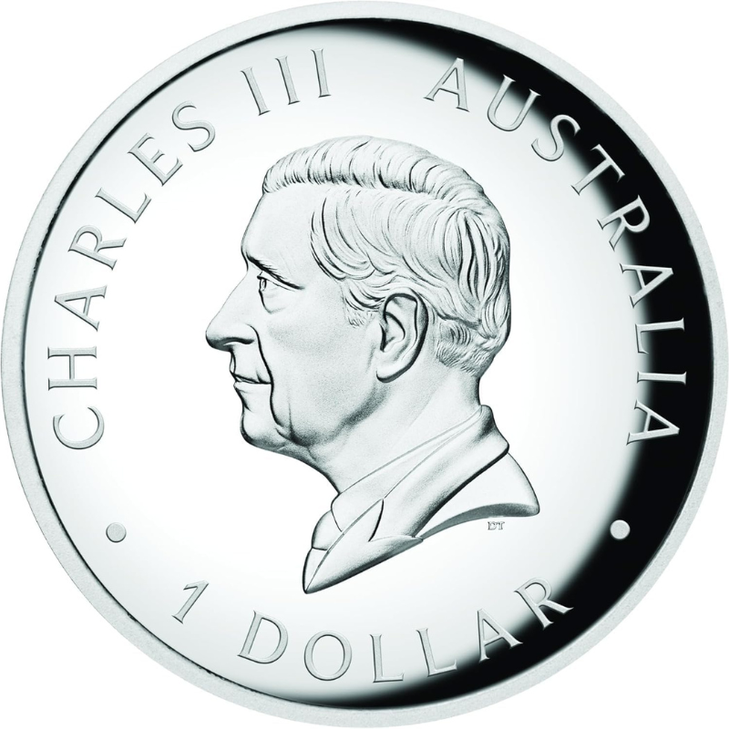 2025 Australian Kangaroo 1oz Silver Proof High Relief Coloured Coin - The Perth Mint King Charles III Collector Coins Silver Coins 1 oz Gift Ideas