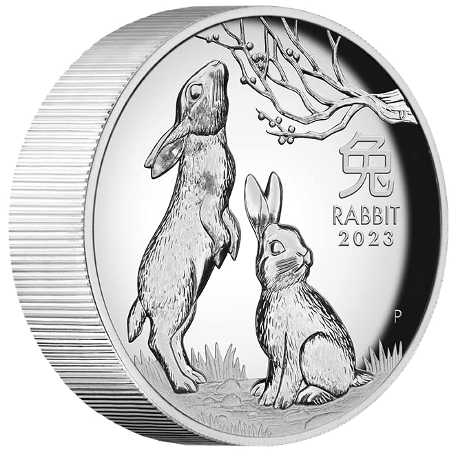 2023 Lunar Series Year of The Rabbit 1 oz Silver Proof High Relief Coin - Sprott Money Collectibles