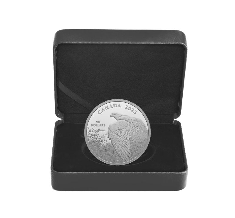 2023 Vantage Point - Bald Eagle 2 oz Silver Coin - Sprott Money Collectibles