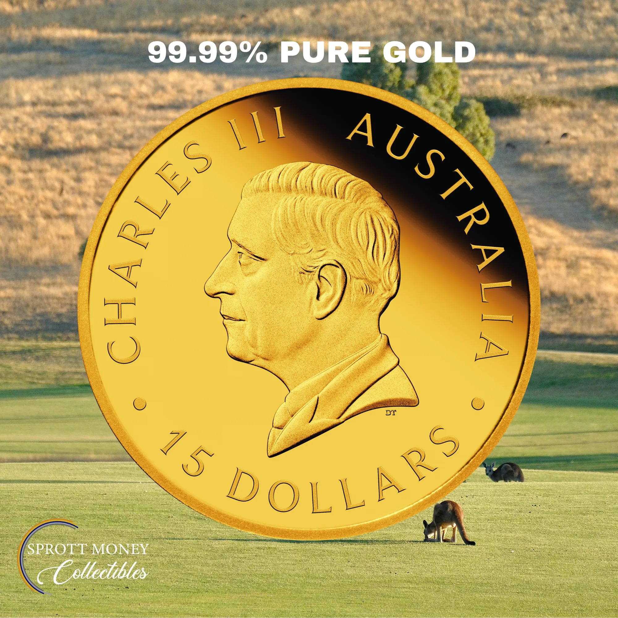 2026 1/10oz Gold AUSTRALIAN KANGAROO Proof Coin THE PERTH MINT