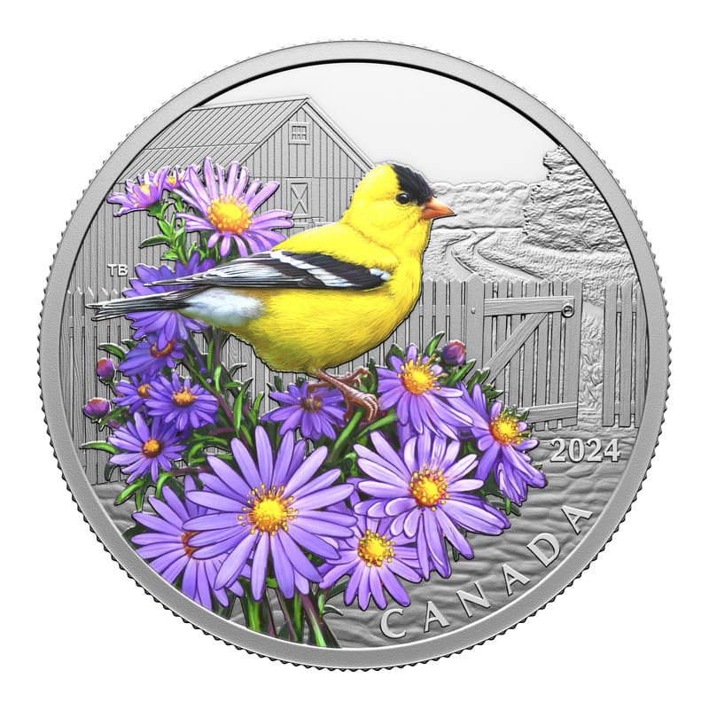 2024 Colourful Birds: American Goldfinch 1 oz Fine Silver Coin