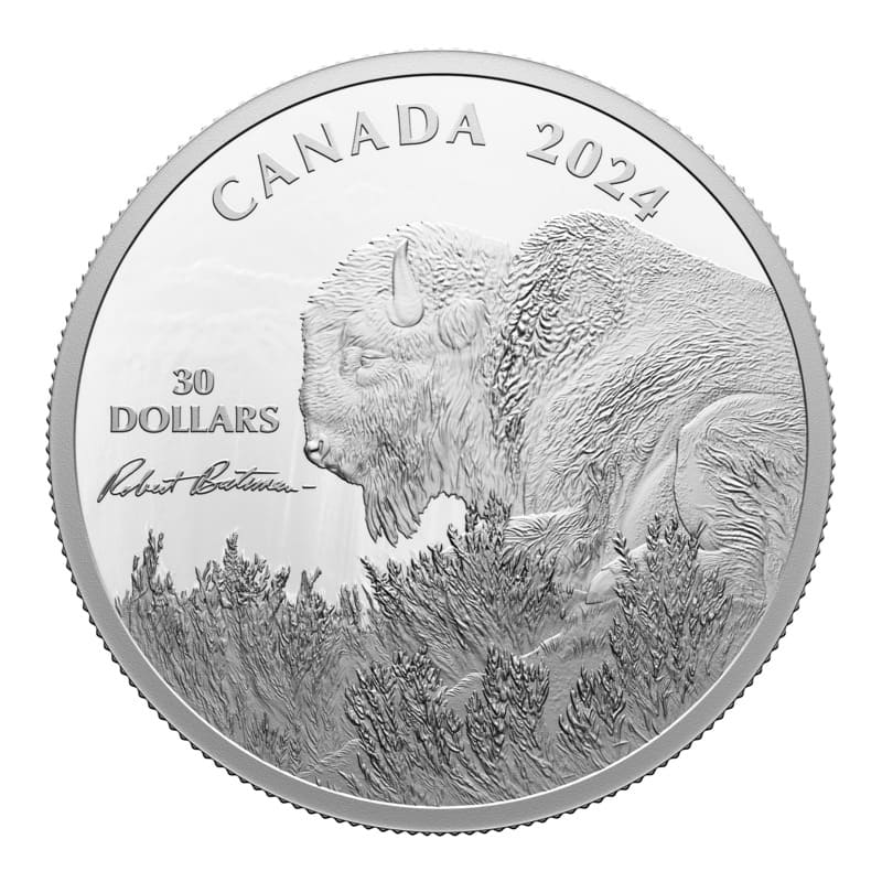 2024 Weather Watch - Bison by Robert Bateman 2 oz Silver Coin