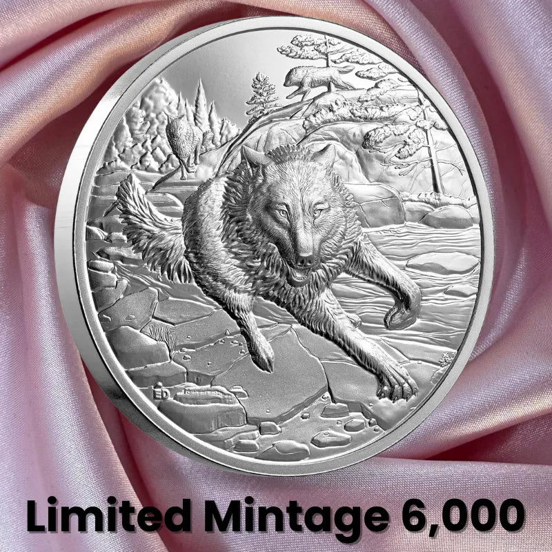 silver coin
buy silver
silver bullion
buy gold and silver
silver coins for sale
best place to buy silver
buy silver coins
buy silver online
silver rounds
jm bullion silver