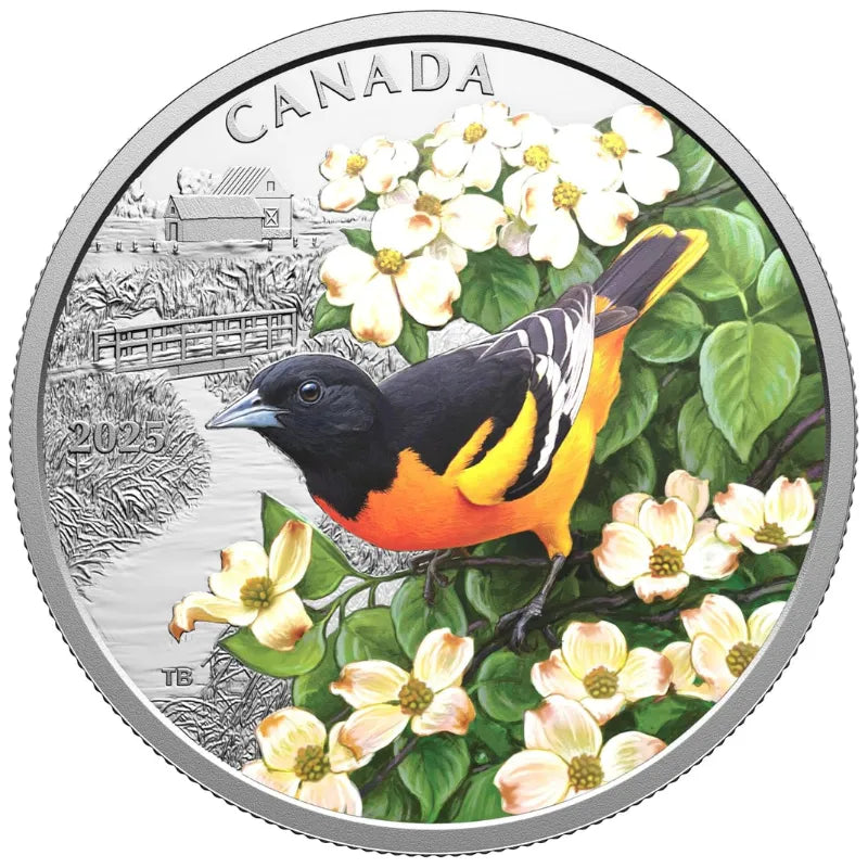 silver coin
buy silver
silver bullion
buy gold and silver
silver coins for sale
best place to buy silver
buy silver coins
buy silver online
silver rounds
jm bullion silver