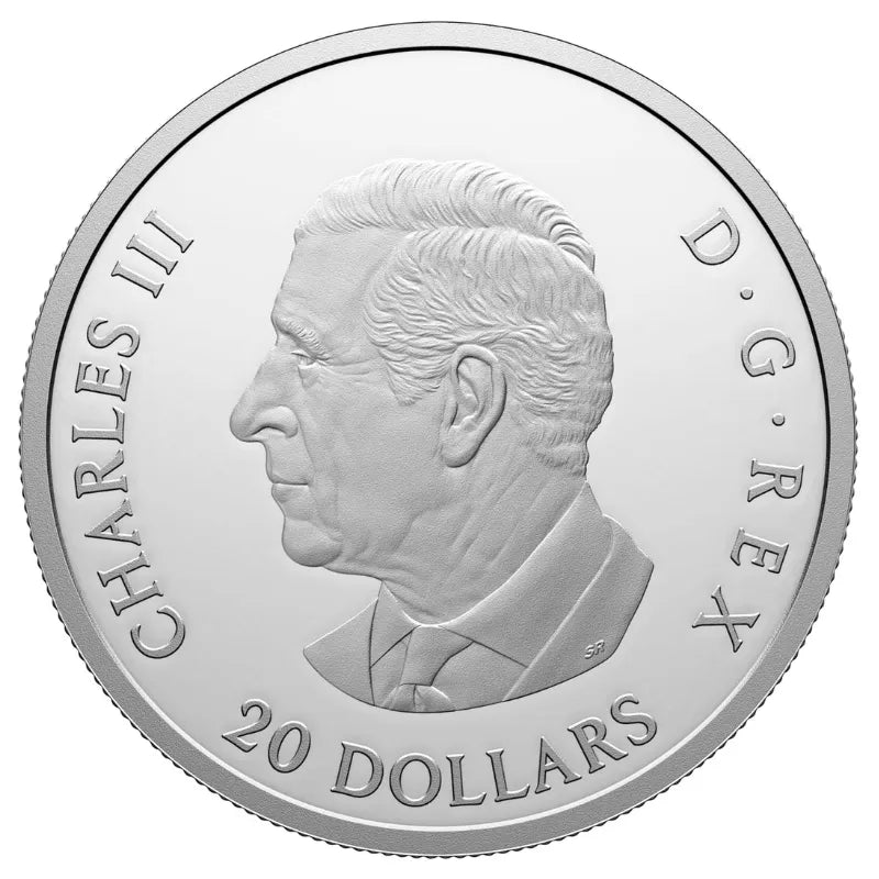 silver coin
buy silver
silver bullion
buy gold and silver
silver coins for sale
best place to buy silver
buy silver coins
buy silver online
silver rounds
jm bullion silver