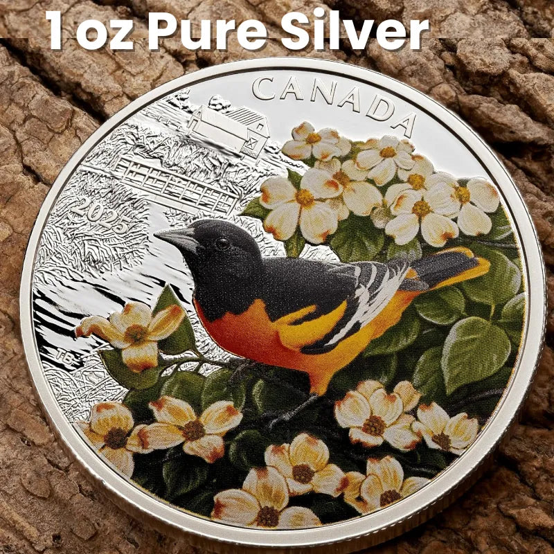 silver coin
buy silver
silver bullion
buy gold and silver
silver coins for sale
best place to buy silver
buy silver coins
buy silver online
silver rounds
jm bullion silver