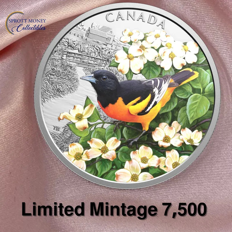 silver coin
buy silver
silver bullion
buy gold and silver
silver coins for sale
best place to buy silver
buy silver coins
buy silver online
silver rounds
jm bullion silver
