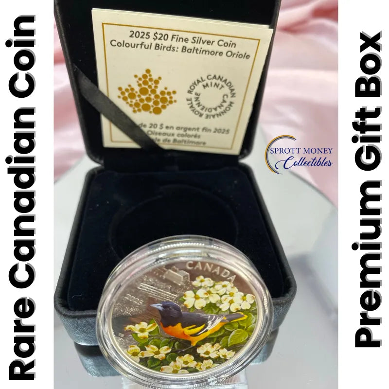 silver coin
buy silver
silver bullion
buy gold and silver
silver coins for sale
best place to buy silver
buy silver coins
buy silver online
silver rounds
jm bullion silver
