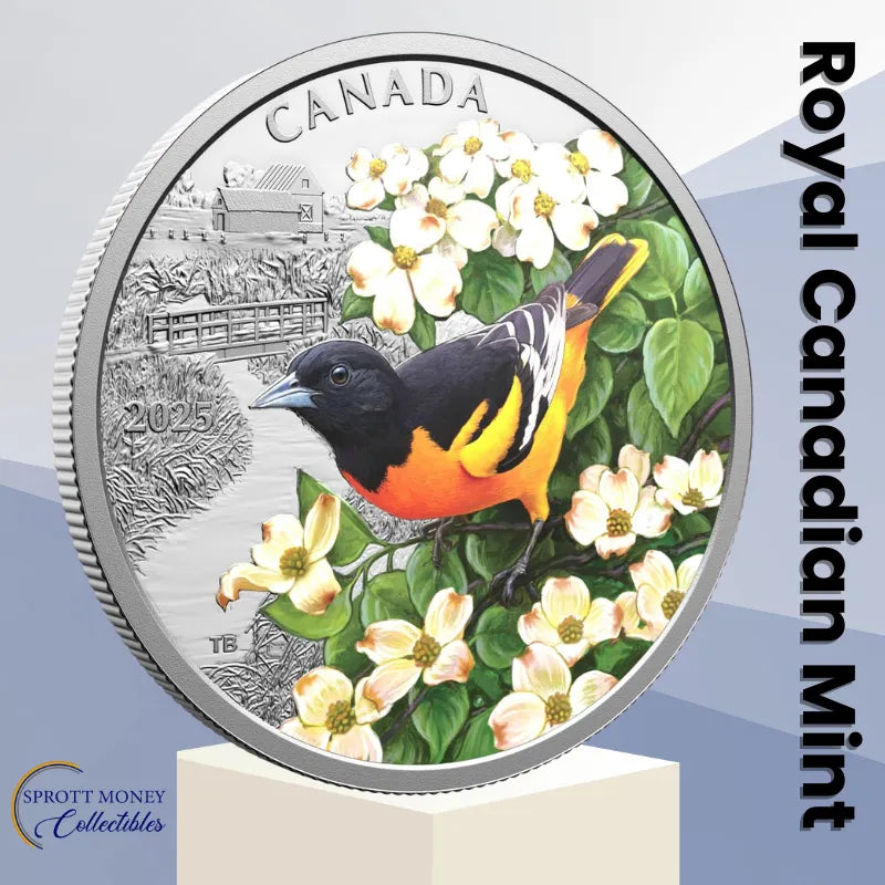 silver coin
buy silver
silver bullion
buy gold and silver
silver coins for sale
best place to buy silver
buy silver coins
buy silver online
silver rounds
jm bullion silver