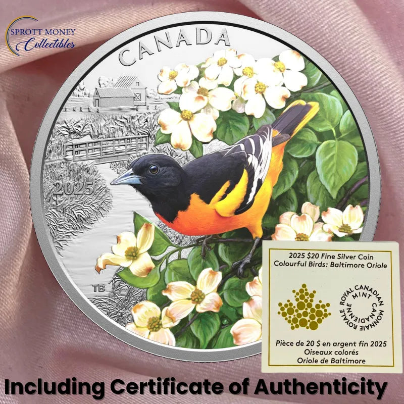 silver coin
buy silver
silver bullion
buy gold and silver
silver coins for sale
best place to buy silver
buy silver coins
buy silver online
silver rounds
jm bullion silver