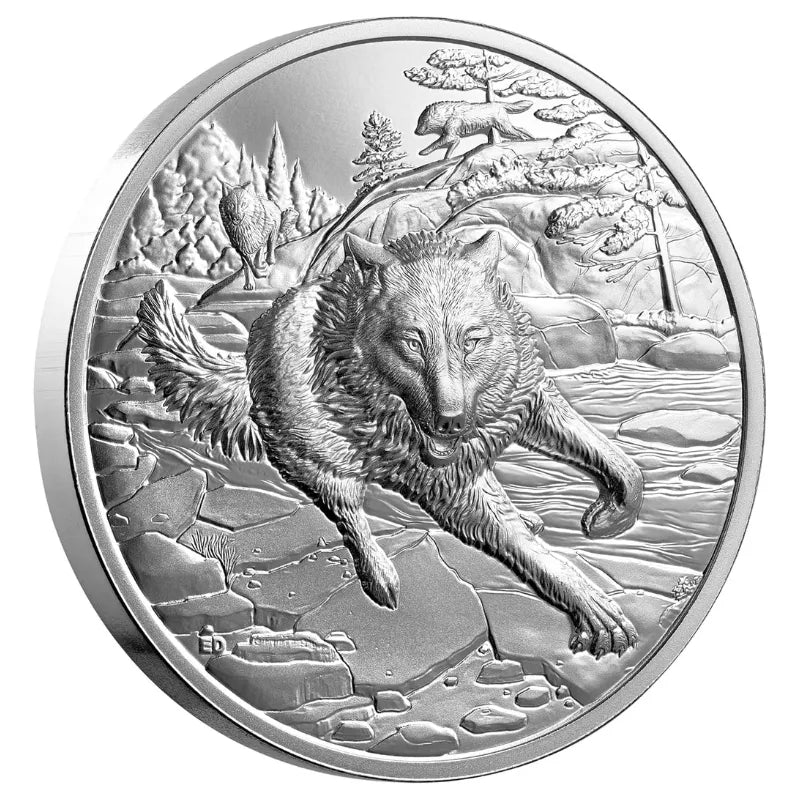 silver coin
buy silver
silver bullion
buy gold and silver
silver coins for sale
best place to buy silver
buy silver coins
buy silver online
silver rounds
jm bullion silver