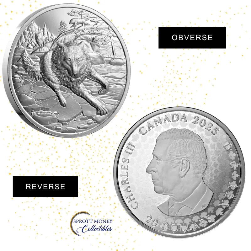 silver coin
buy silver
silver bullion
buy gold and silver
silver coins for sale
best place to buy silver
buy silver coins
buy silver online
silver rounds
jm bullion silver