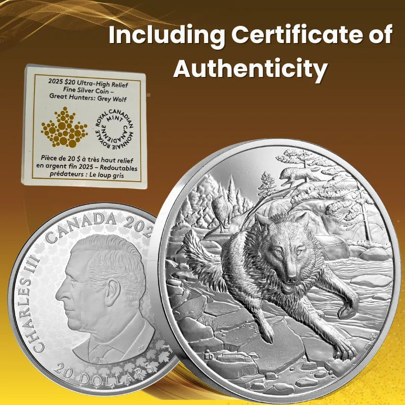 silver coin
buy silver
silver bullion
buy gold and silver
silver coins for sale
best place to buy silver
buy silver coins
buy silver online
silver rounds
jm bullion silver