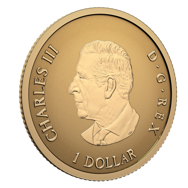 2026 0.5 g Pure Gold Coin 30th Anniversary of Canada's Arboreal Emblem Royal Canadian Mint