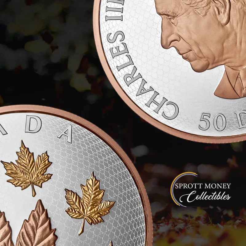 2026 Maple Leaves in Motion 5 oz Pure Silver Coin Royal Canadian Mint