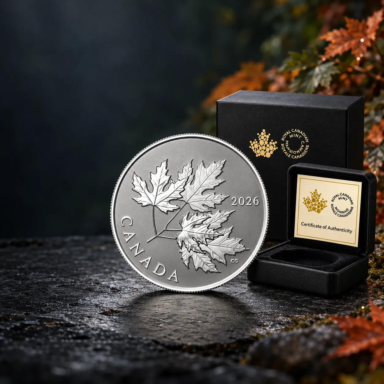 2026 ½ oz Gleaming Maple Leaves Silver Reverse Proof Coin - Royal Canadian Mint