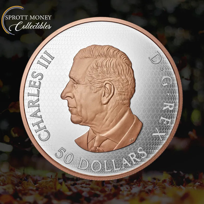 2026 Maple Leaves in MotSilver Coin Royal Canadian Mintion 5 oz Pure 