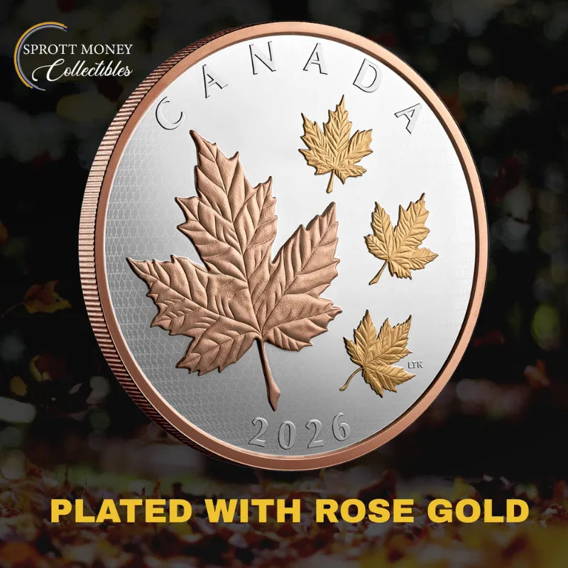 2026 Maple Leaves in Motion 5 oz Pure Silver Coin Royal Canadian Mint