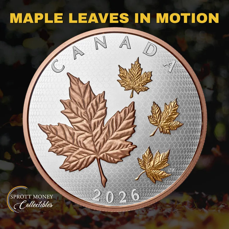 2026 Maple Leaves in Motion 5 oz Pure Silver Coin Royal Canadian Mint