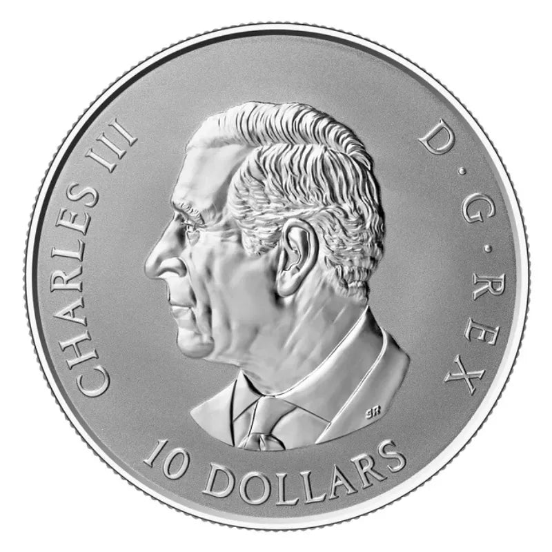 2026 ½ oz Gleaming Maple Leaves Silver Reverse Proof Coin - Royal Canadian Mint