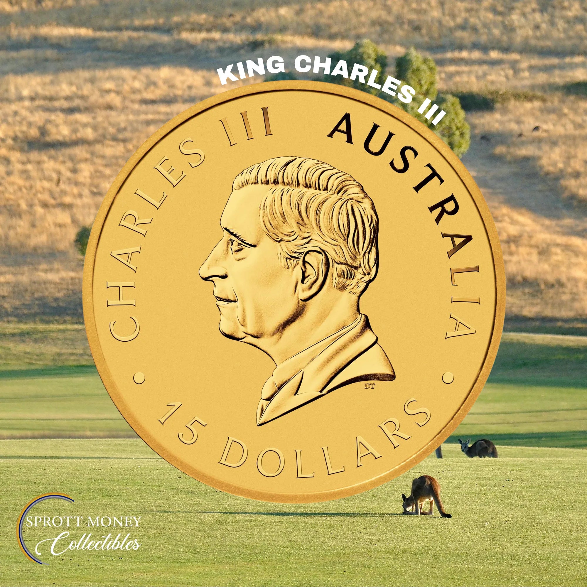 2026 1/10oz Gold AUSTRALIAN KANGAROO Proof Coin THE PERTH MINT