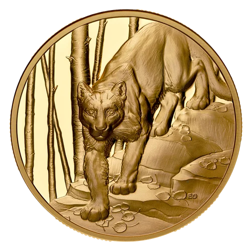 2024 Great Hunter: Cougar Ultra-High Relief 1 oz Pure Gold Coin