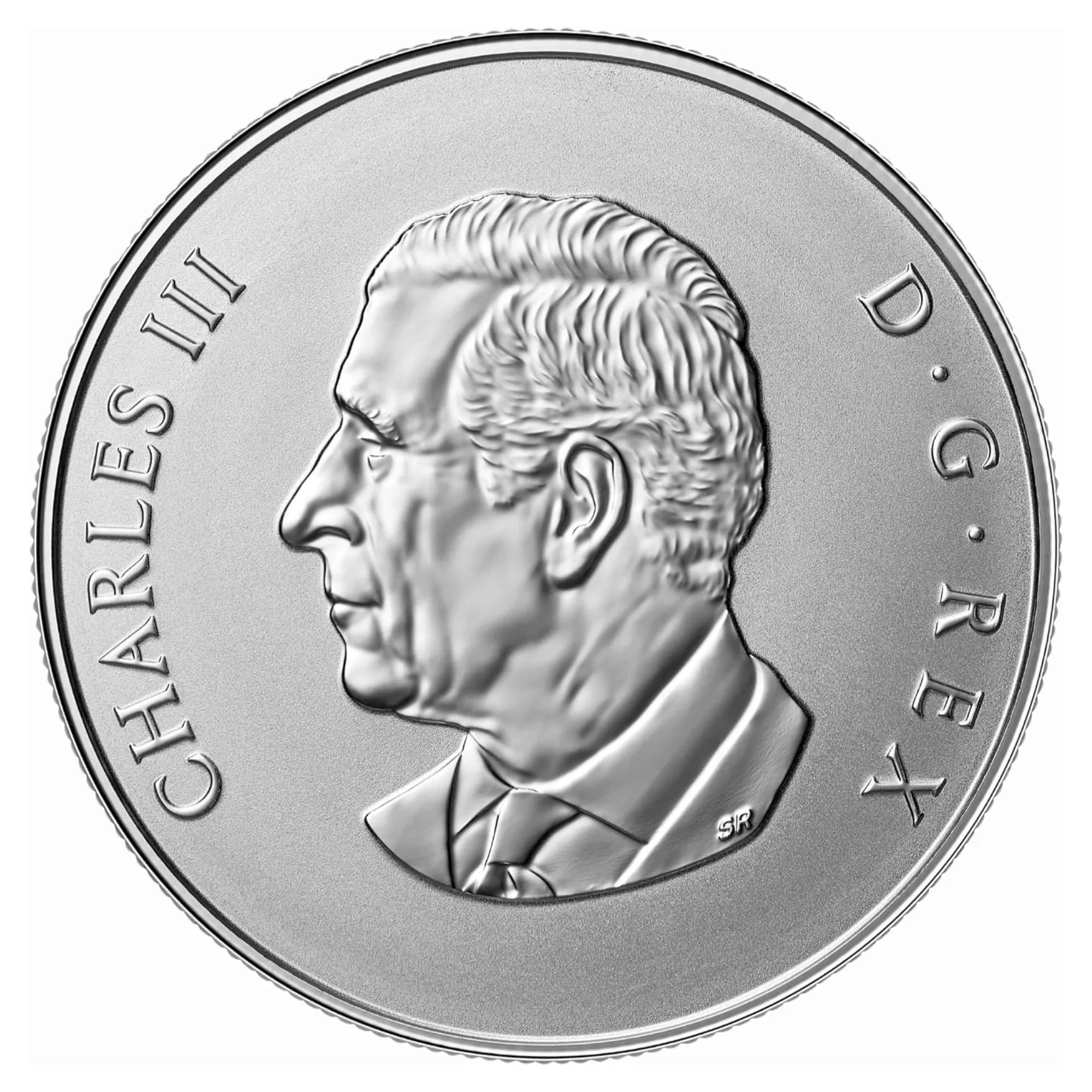 2026 Baby Feet Welcome to The World 1/2 oz Pure Silver Coin - Royal Canadian Mint