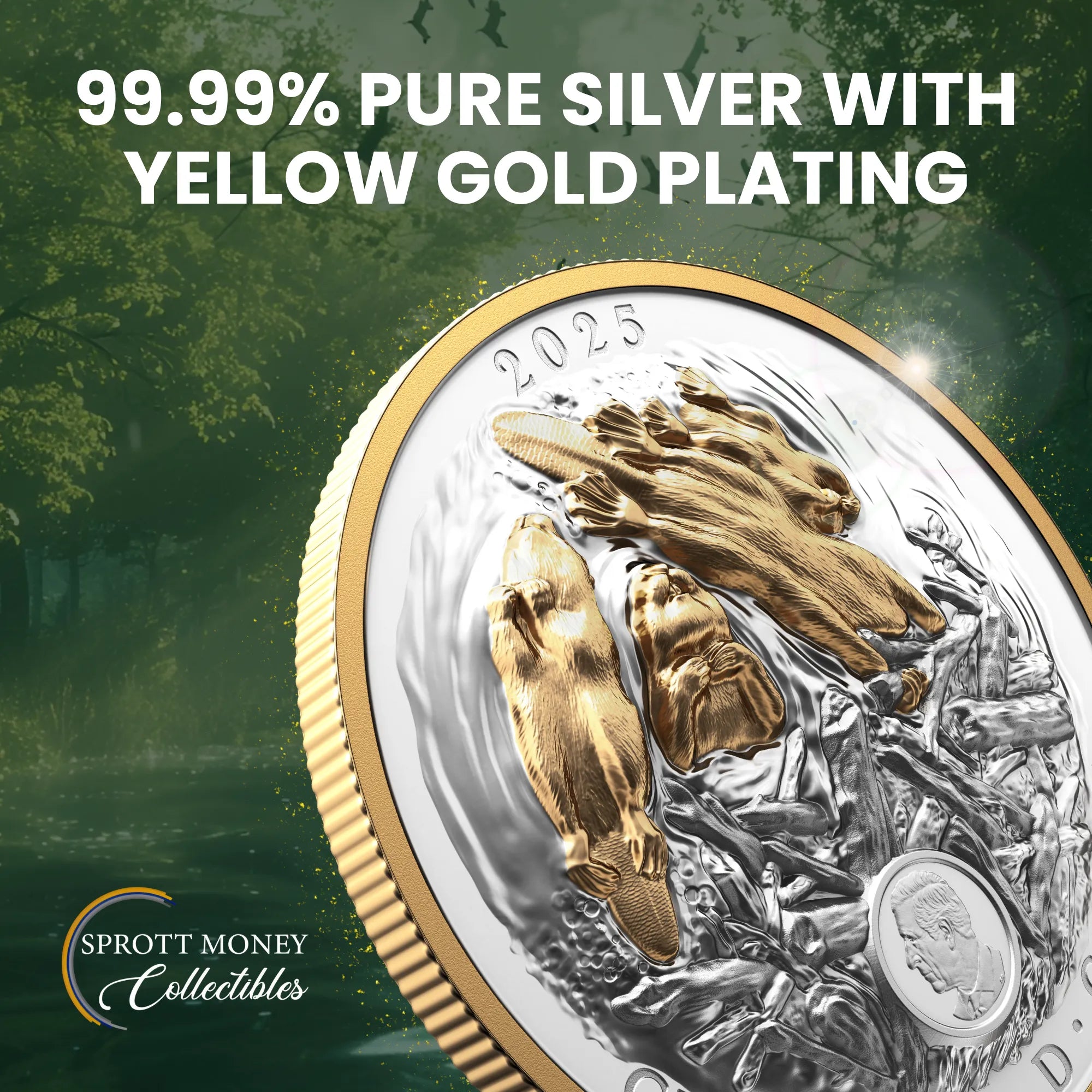 2025 100.74 g Fine Silver Coin Canadian Symbol: The Beaver –Royal Canadian Mint