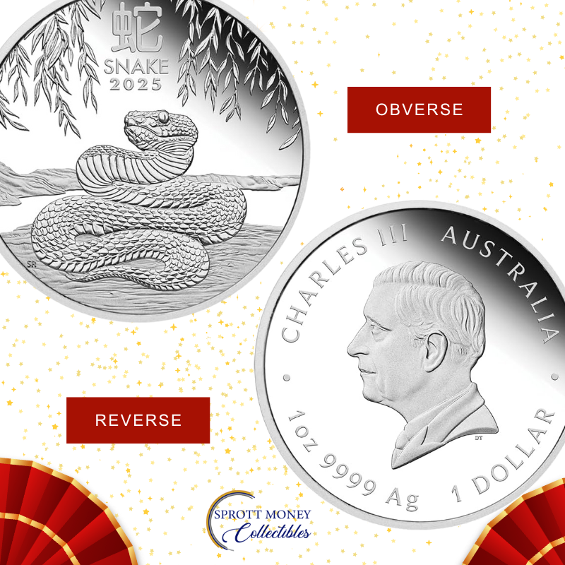 2025 Lunar Year of The Snake 1 oz Fine Silver Proof Coin - The Perth Mint