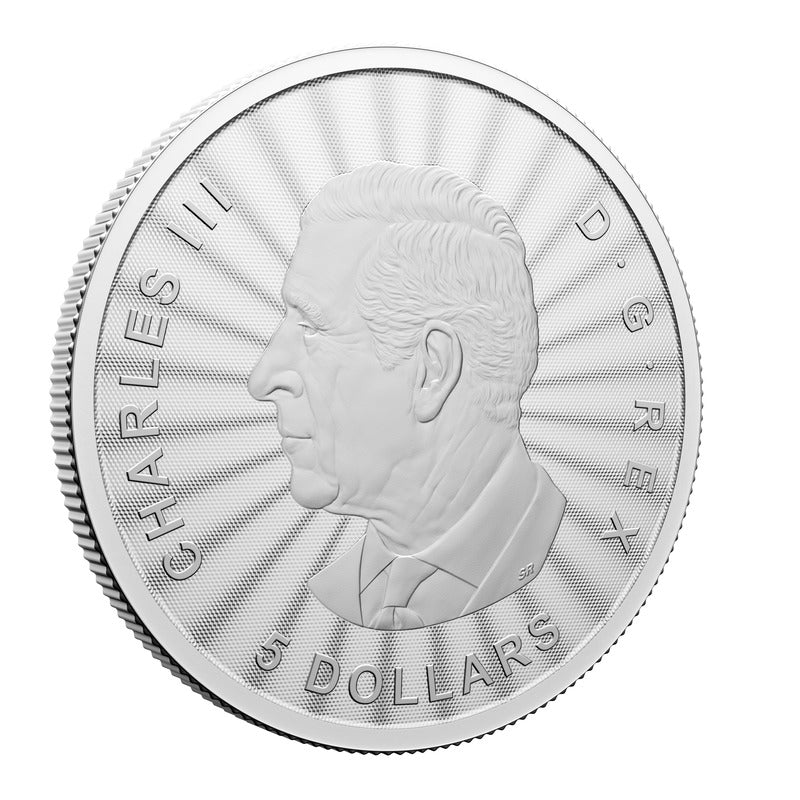 2024 First Strikes - The Majestic Polar Bears (Premium Bullion) 1 oz Fine Silver Coin